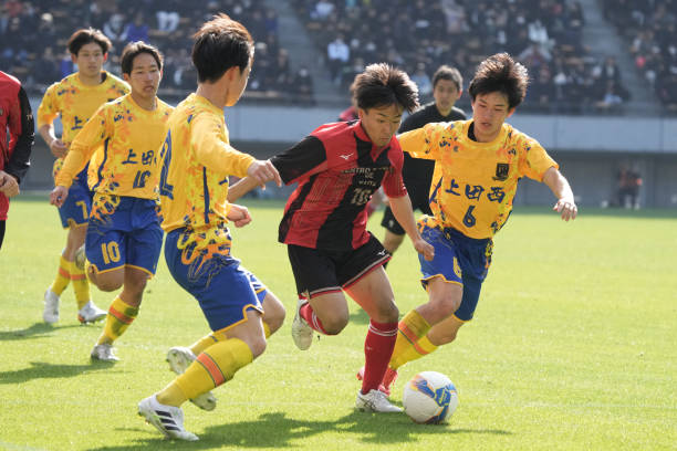 的整体表现 的整体表现