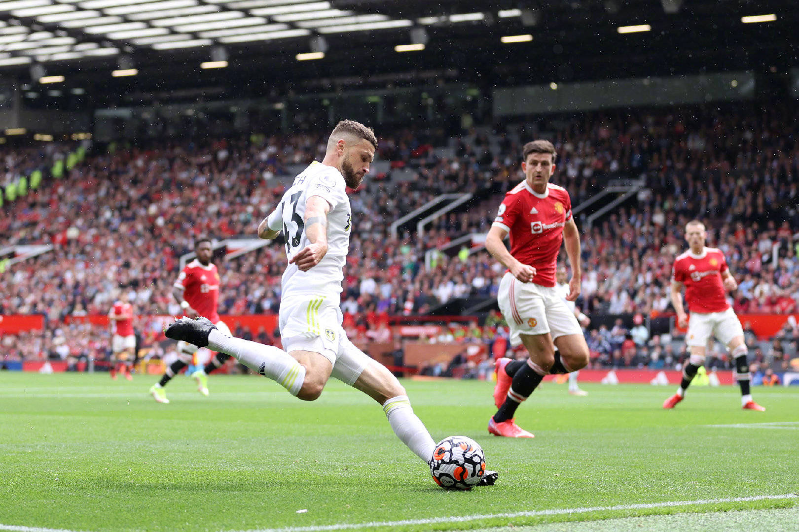 尔克和哥伦 尔克和哥伦